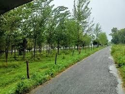 RERA Approved Plot in Rudrapur, Uttarakhand